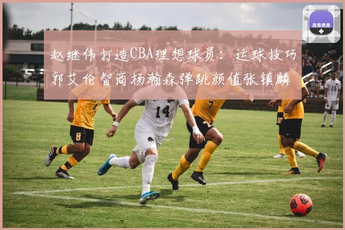 赵继伟打造CBA理想球员：运球技巧郭艾伦智商杨瀚森弹跳颜值张镇麟完美结合