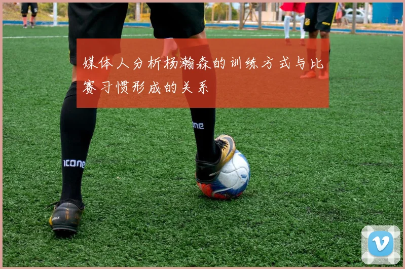 媒体人分析杨瀚森的训练方式与比赛习惯形成的关系