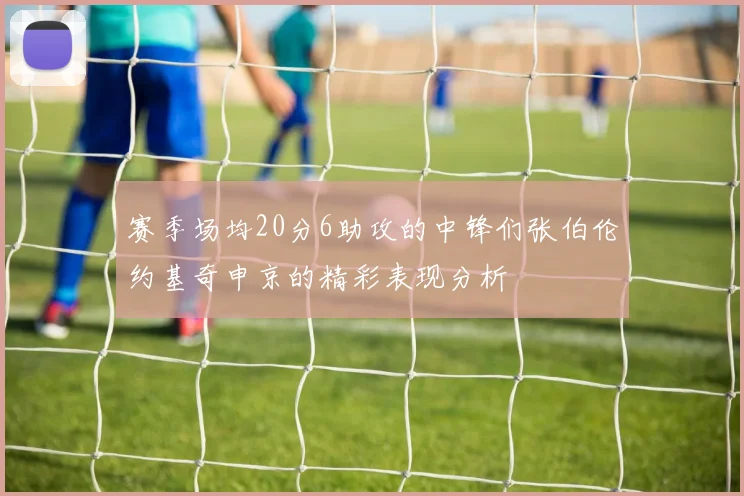 赛季场均20分6助攻的中锋们张伯伦约基奇申京的精彩表现分析