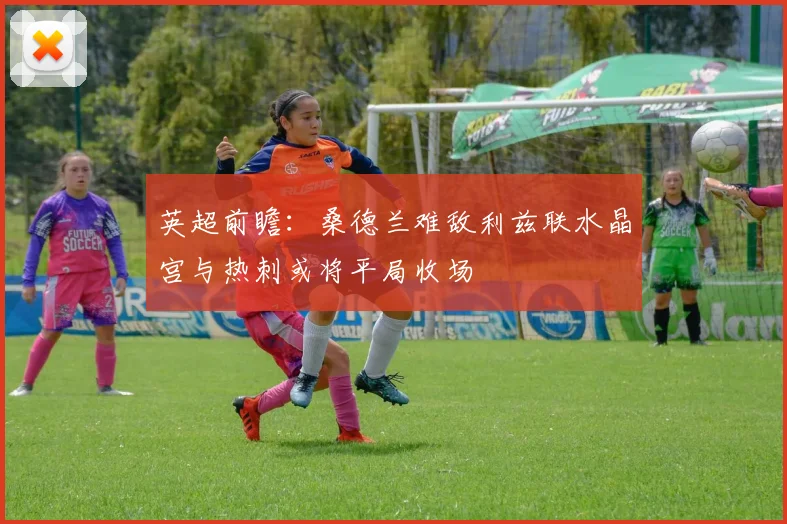 英超前瞻：桑德兰难敌利兹联水晶宫与热刺或将平局收场