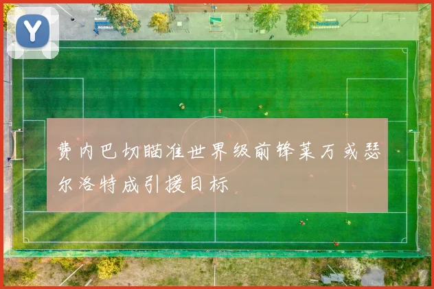 费内巴切瞄准世界级前锋莱万或瑟尔洛特成引援目标