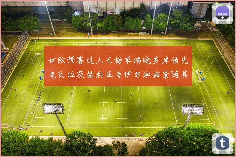 世欧预赛过人王榜单揭晓多库领先克瓦拉茨赫利亚与伊尔迪兹紧随其后